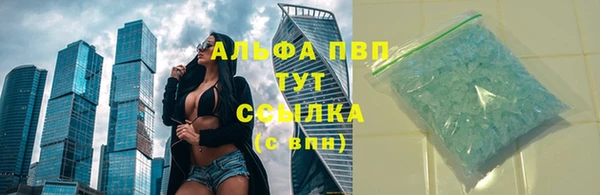 гашик Абаза