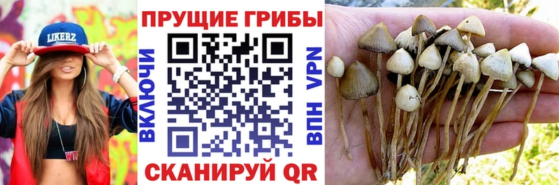 Псилоцибиновые грибы прущие грибы  Углегорск 